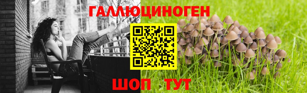 Псилоцибиновые грибы ЛСД Стрежевой